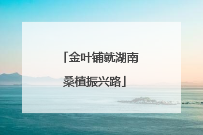 金叶铺就湖南桑植振兴路
