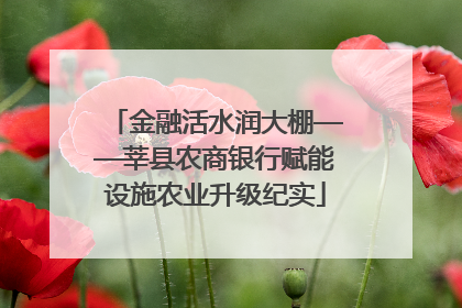 金融活水润大棚——莘县农商银行赋能设施农业升级纪实
