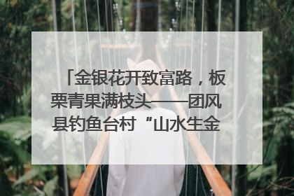 金银花开致富路，板栗青果满枝头——团风县钓鱼台村“山水生金”谱写共富新篇章