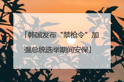 韩国发布“禁枪令”加强总统选举期间安保