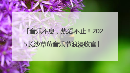 音乐不息，热爱不止！2025长沙草莓音乐节浪漫收官