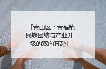 青山区：青福镇民族团结与产业升级的双向奔赴