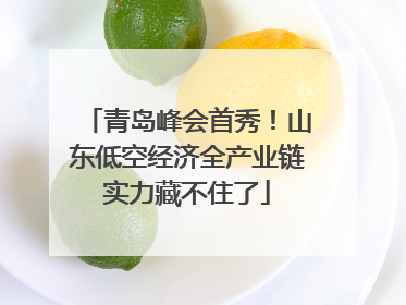 青岛峰会首秀！山东低空经济全产业链实力藏不住了