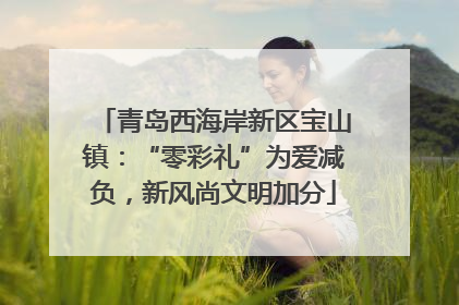 青岛西海岸新区宝山镇：“零彩礼”为爱减负，新风尚文明加分