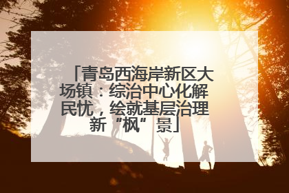 青岛西海岸新区大场镇：综治中心化解民忧，绘就基层治理新“枫”景