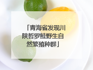青海省发现川陕哲罗鲑野生自然繁殖种群