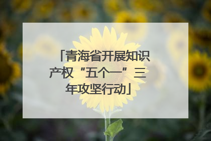 青海省开展知识产权“五个一”三年攻坚行动