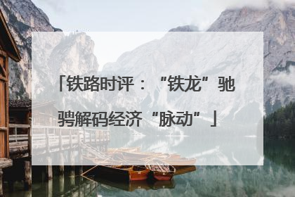 铁路时评：“铁龙”驰骋解码经济“脉动”