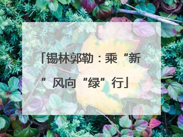 锡林郭勒：乘“新”风向“绿”行