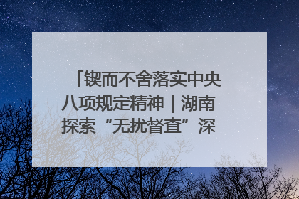 锲而不舍落实中央八项规定精神｜湖南探索“无扰督查”深化基层减负