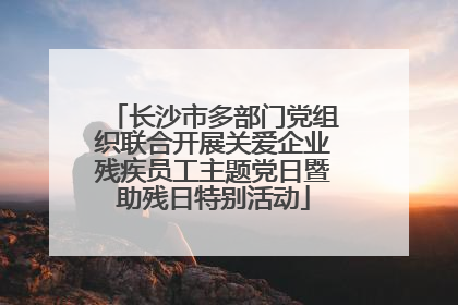 长沙市多部门党组织联合开展关爱企业残疾员工主题党日暨助残日特别活动
