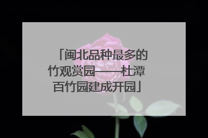 闽北品种最多的竹观赏园——杜潭百竹园建成开园