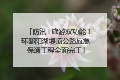 防汛+旅游双功能！环鄱阳湖堤顶公路应急保通工程全面完工