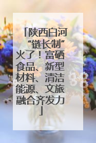 陕西白河“链长制”火了！富硒食品、新型材料、清洁能源、文旅融合齐发力