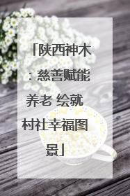 陕西神木：慈善赋能养老 绘就村社幸福图景