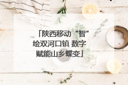 陕西移动“智”绘双河口镇 数字赋能山乡蝶变