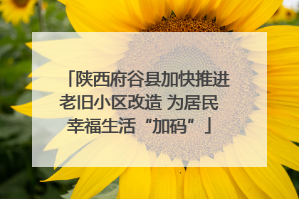 陕西府谷县加快推进老旧小区改造 为居民幸福生活“加码”