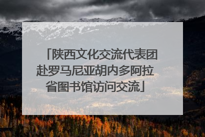 陕西文化交流代表团赴罗马尼亚胡内多阿拉省图书馆访问交流