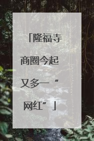 隆福寺商圈今起又多一“网红”