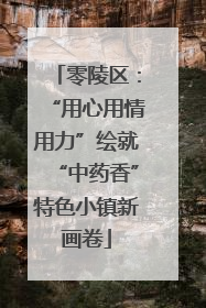 零陵区：“用心用情用力”绘就“中药香”特色小镇新画卷
