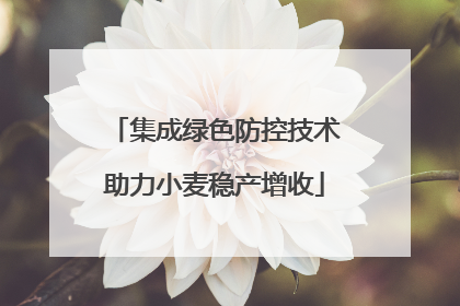 集成绿色防控技术助力小麦稳产增收