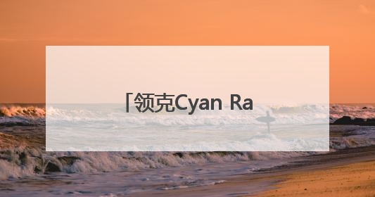 领克Cyan Racing车队再获佳绩 TCR世巡赛西班牙站包揽六座奖杯