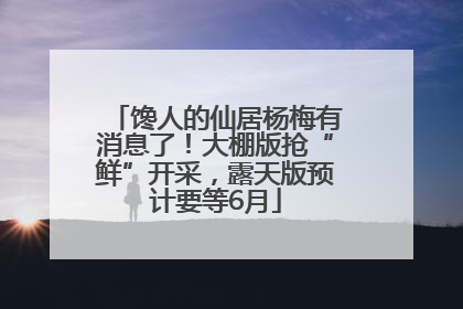 馋人的仙居杨梅有消息了！大棚版抢“鲜”开采，露天版预计要等6月