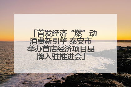 首发经济“燃”动消费新引擎 泰安市举办首店经济项目品牌入驻推进会
