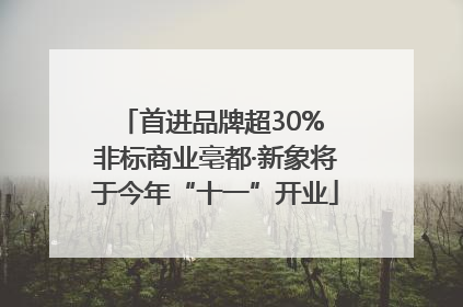 首进品牌超30% 非标商业亳都·新象将于今年“十一”开业
