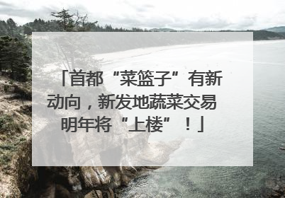 首都“菜篮子”有新动向，新发地蔬菜交易明年将“上楼”！