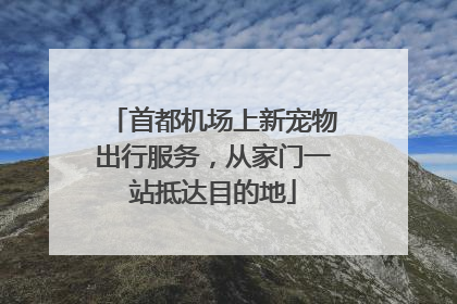 首都机场上新宠物出行服务，从家门一站抵达目的地