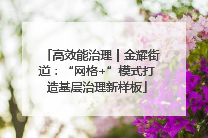 高效能治理｜金耀街道：“网格+”模式打造基层治理新样板