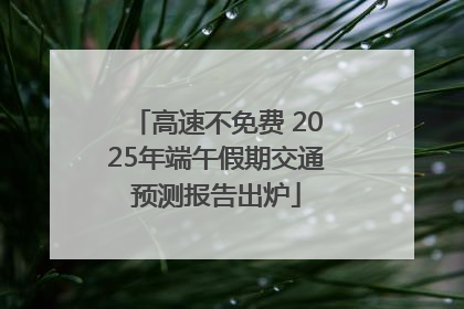 高速不免费 2025年端午假期交通预测报告出炉