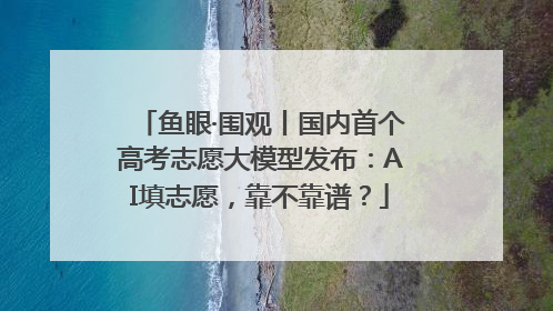 鱼眼·围观丨国内首个高考志愿大模型发布：AI填志愿，靠不靠谱？