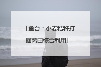 鱼台：小麦秸秆打捆离田综合利用