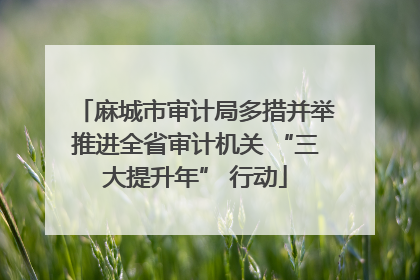 麻城市审计局多措并举推进全省审计机关 “三大提升年” 行动