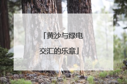 黄沙与绿电交汇的乐章
