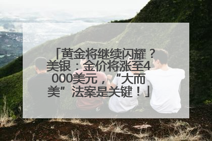 黄金将继续闪耀？美银：金价将涨至4000美元，“大而美”法案是关键！