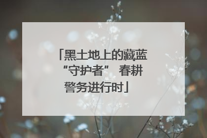 黑土地上的藏蓝“守护者” 春耕警务进行时