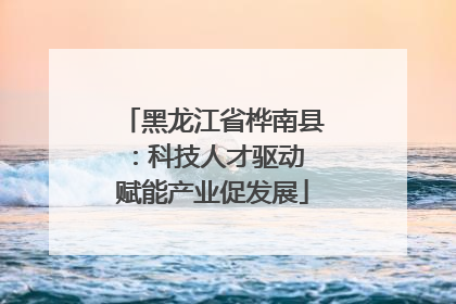 黑龙江省桦南县：科技人才驱动 赋能产业促发展