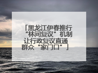 黑龙江伊春推行“林间复议”机制 让行政复议直通群众“家门口”