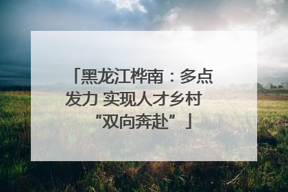 黑龙江桦南：多点发力 实现人才乡村“双向奔赴”
