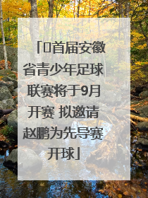 ﻿首届安徽省青少年足球联赛将于9月开赛 拟邀请赵鹏为先导赛开球
