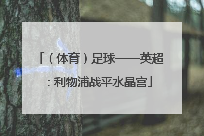 （体育）足球——英超：利物浦战平水晶宫