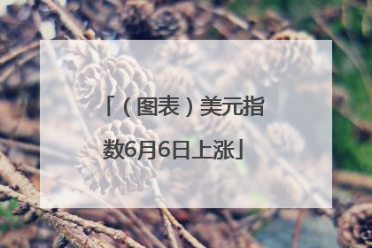 （图表）美元指数6月6日上涨