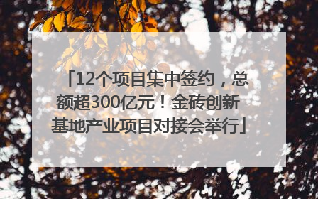 12个项目集中签约，总额超300亿元！金砖创新基地产业项目对接会举行