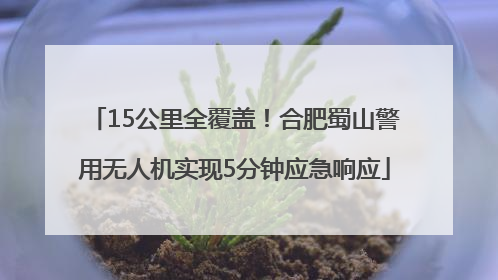 15公里全覆盖！合肥蜀山警用无人机实现5分钟应急响应