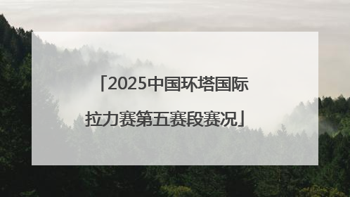 2025中国环塔国际拉力赛第五赛段赛况