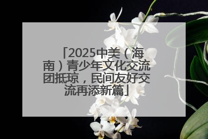 2025中美（海南）青少年文化交流团抵琼，民间友好交流再添新篇
