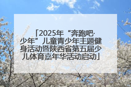 2025年“奔跑吧·少年”儿童青少年主题健身活动暨陕西省第五届少儿体育嘉年华活动启动